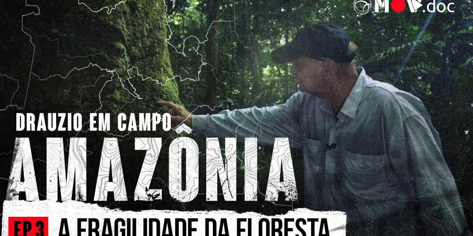 Do Desmatamento Ilegal À Preservação Da Floresta | Drauzio Em Campo: Amazônia